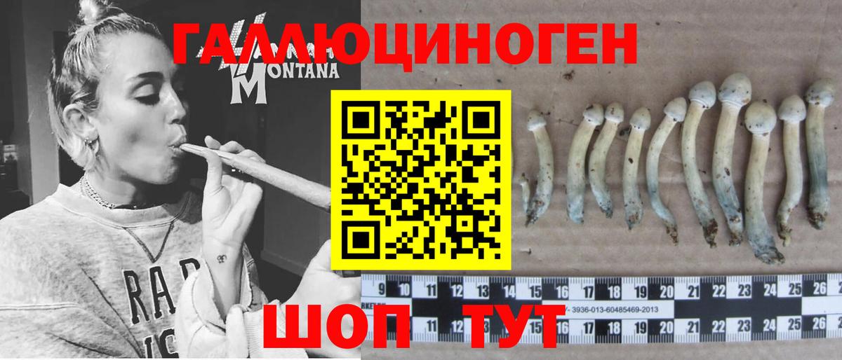 Псилоцибиновые грибы прущие грибы  наркота  Вход с VPN  Мытищи  Галлюциногенные грибы мухоморы 